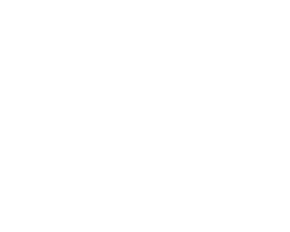 BrokNet Re — Reinsurance Brokers